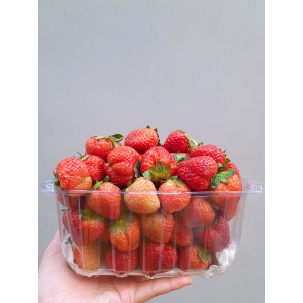 Hộp 3kg dâu tây Mỹ đá Size NHẤT nhà trồng
