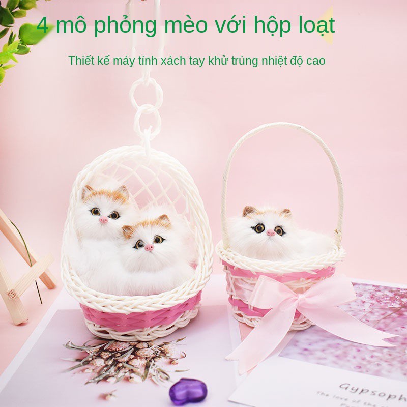 Lẵng hoa sẽ có tên là mèo con, đồ chơi trẻ em nữ, bạn đồng hành quà tặng sang trọng, nhận thức tình cảm cha mẹ -