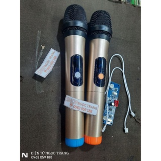 Micro không dây cho loa kéo - giá 1 bộ gồm 2 tay micro khômg dây và 1 bo mic