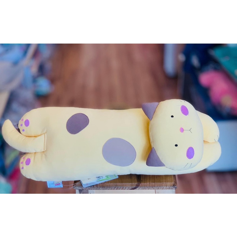 Mèo thun Hikosen Cara