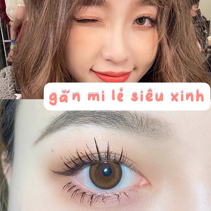 Combo mi giả gắn mắt  gồm nhíp và keo dán