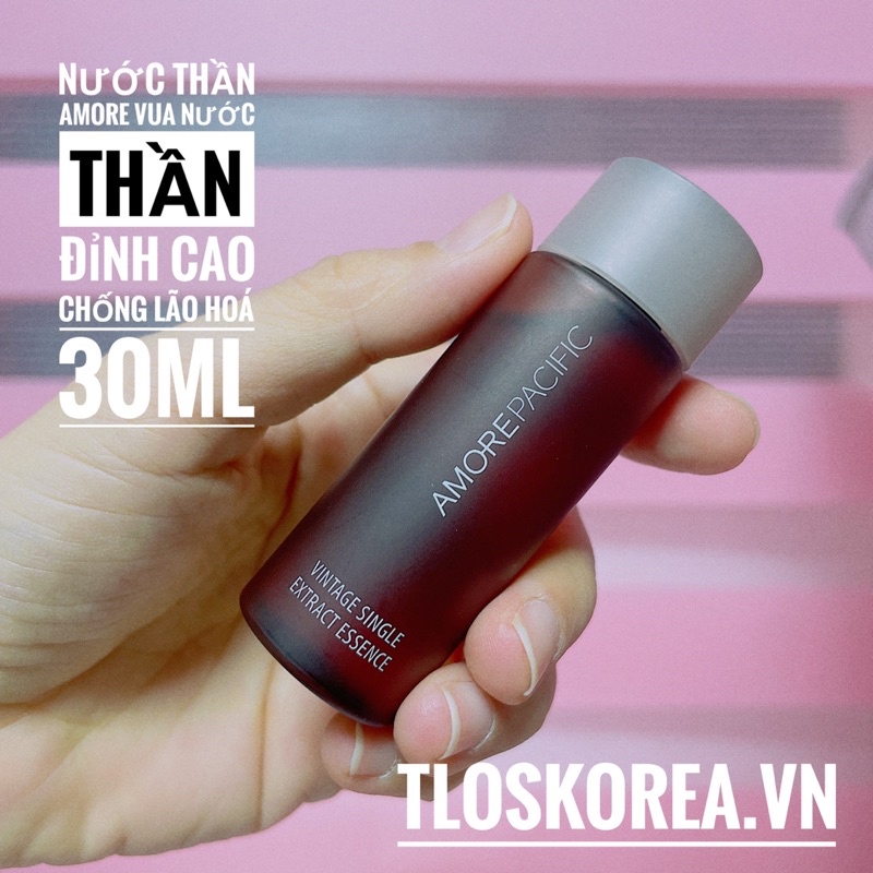 31ML Vua Nước Thần Chống Lão Hóa Lá Trà Lên Men Amore Pacific Vintage Single Extract Essence