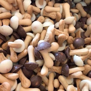 Bánh Nấm Nga