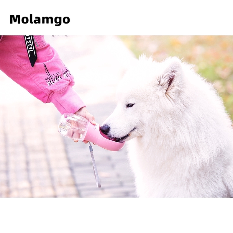 MOLAMGO  Bình Nước Du Lịch Cho Thú Cưng Thiết Kế Tiện Dụng
