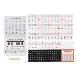 Nhãn dán bàn phím đàn Piano trong suốt 25 / 49 / 54 / 61 / 88 màu