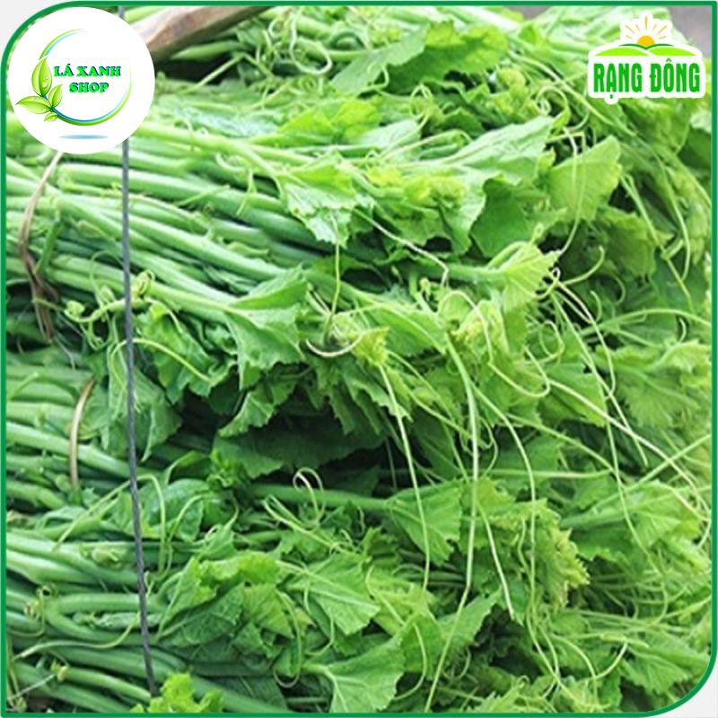 Hạt Giống Bí Siêu Ngọn (Bí Lấy Ngọn) Cao Sản Giòn Ngọt, Dễ Trồng (gói 20 gr) - Hạt giống Rạng Đông
