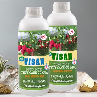 Dung dịch thủy canh củ quả pha