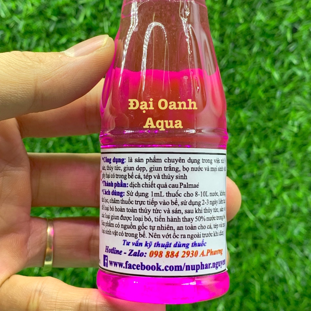 Diệt Sán - Thuỷ Tức Nuphar | Chế Phẩm Sinh Học Diệt Sinh Vật Gây Hại Trong Bể Cá