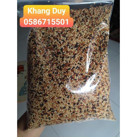 Hạt cỏ thái ngũ sắc 1kg