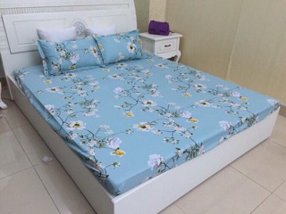 Ga gối poly