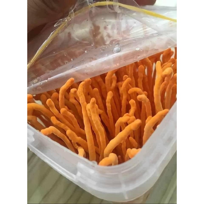 Đông Trùng Hạ Thảo Tươi Hoàng Gia - Hộp 180g | BigBuy360 - bigbuy360.vn