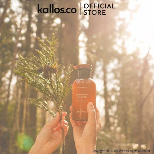 Dầu Gội Innisfree My Hair Recipe Refreshing, Strength, Loss Care, Moisturizing, Repairing Shampoo - Kallos Vietnam