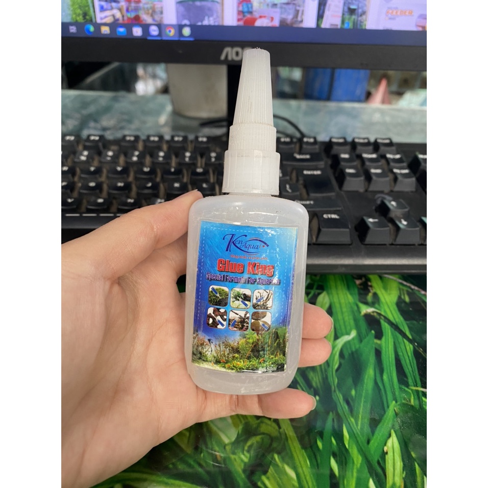 Keo dán rêu, đá, gỗ lũa cho thuỷ sinh, hồ cá Glue King