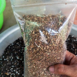Đá Vermiculite ( Giá thể trồng Sen Đá-Xương Rồng) 500g