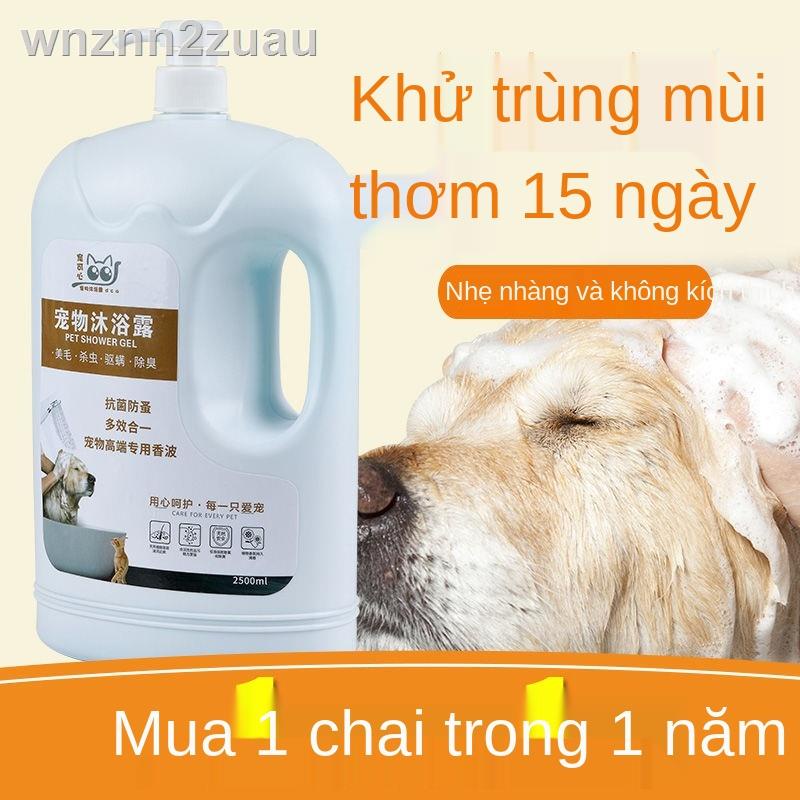 ✙✕Sữa tắm cho chó xô lớn cho thú cưng tắm chất lỏng khử trùng khử mùi chống ngứa cho mèo Teddy Golden Retriever cung cấp