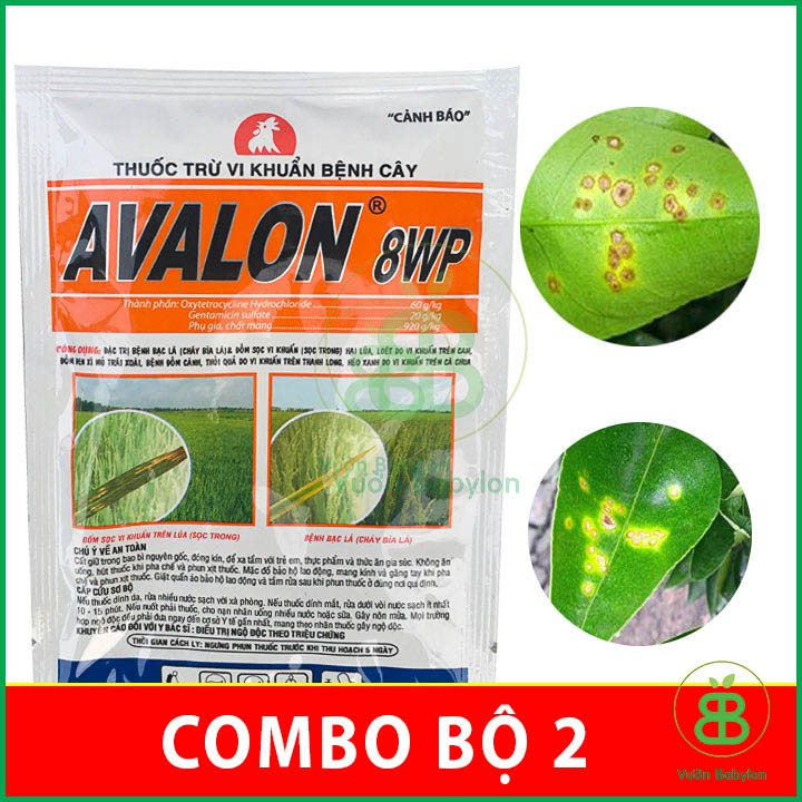 Thuốc AVALON Bạc Lá, Cháy Bìa Lá, Thối Lá, Thối Trái 2 Gói