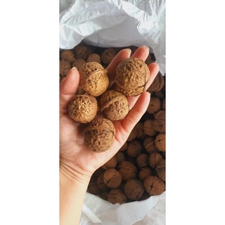 Hạt óc chó nếp 500g - 1kg