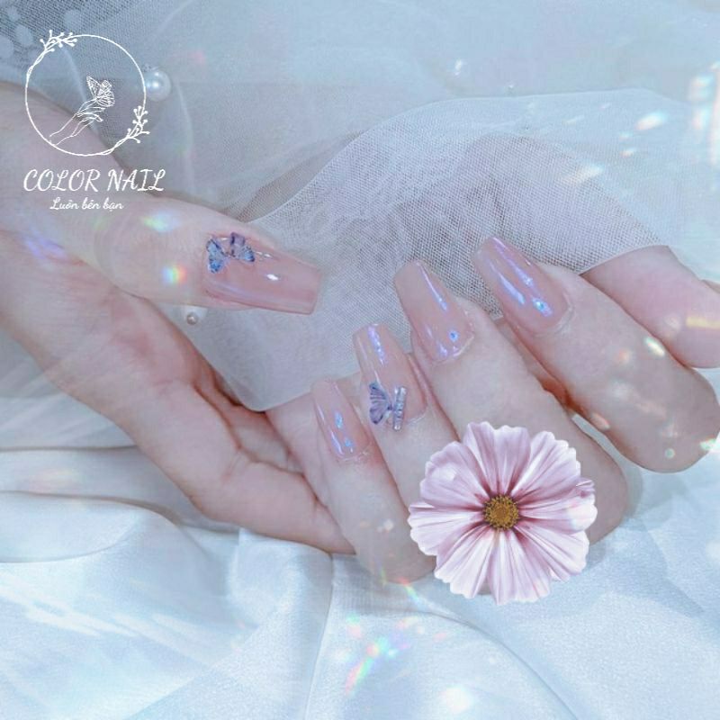 Nail box - Móng up thiết kế : Đơn giản 4