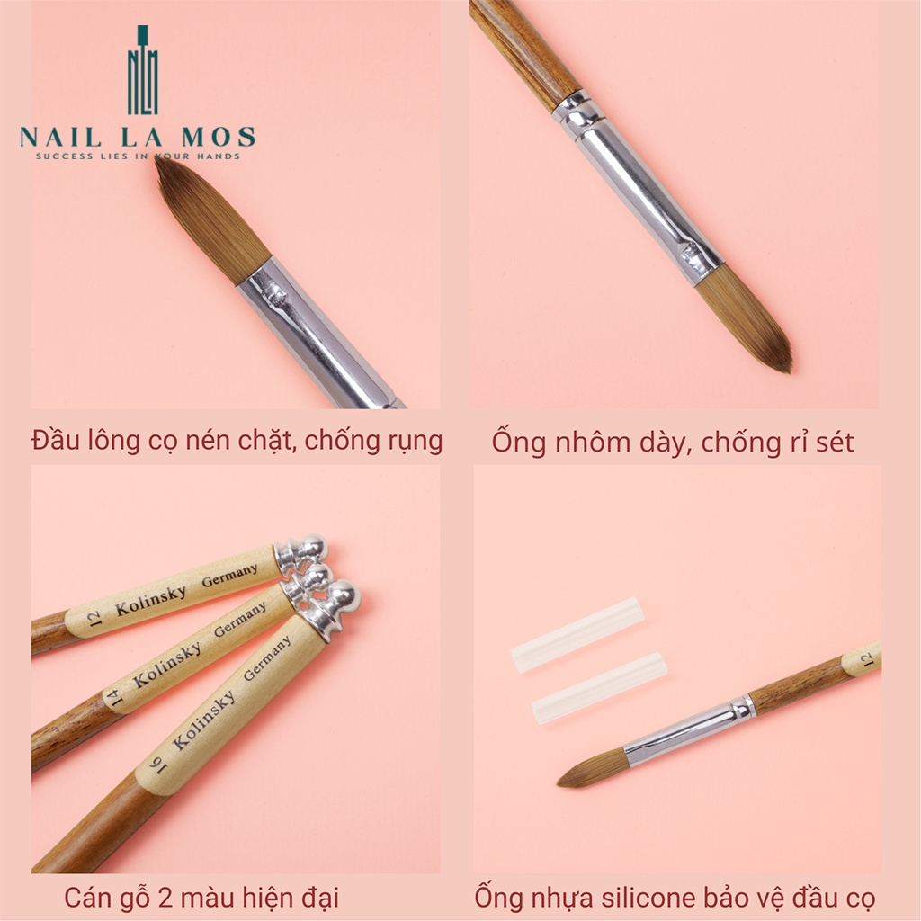 Cọ đắp bột Kolinsky Germany chính hãng - Cọ lông chồn cán gỗ size 12, 14, 16 đắp móng chuyên dụng