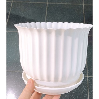 Chậu nhựa trắng kèm dĩa lót 14x17cm