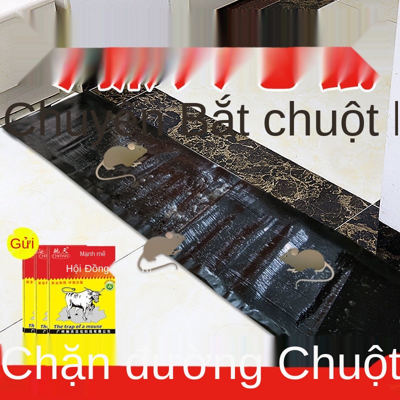 J Bảng chuột dính mạnh mẽ bẫy tạo tác kẻ hủy diệt thảm ma thuật bắt lớn kẹp xua đuổi về nhà một lứa cuối