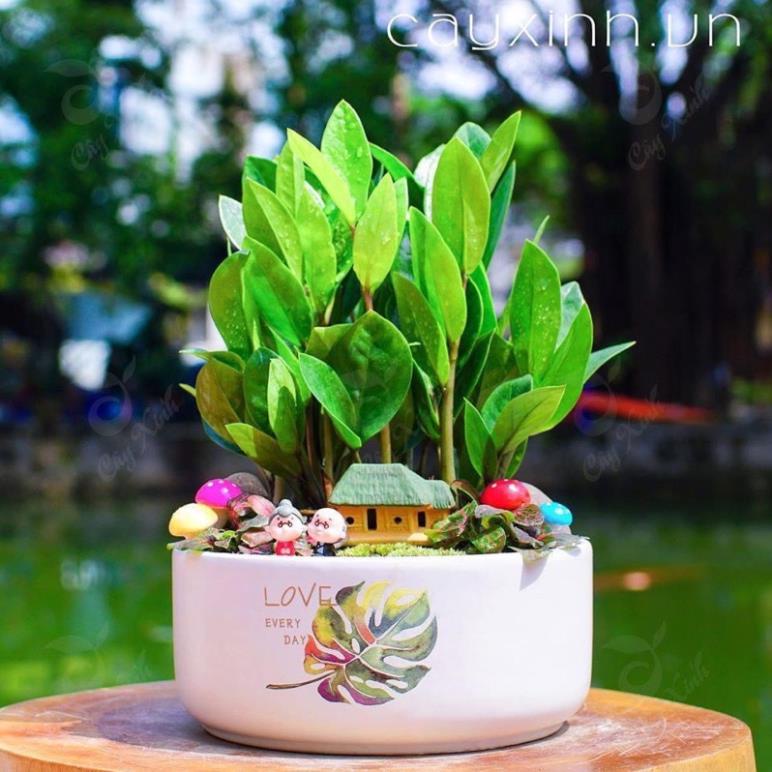 Ang Trụ Thâp Trồng Cây Cảnh Mini Cực Xinh [ Hàng Sẵn -Giao Hình Ngẫu Nhiên]
