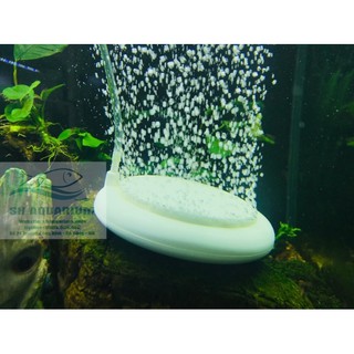 ĐĨA SỦI ÔXY SIÊU MỊN HT-100