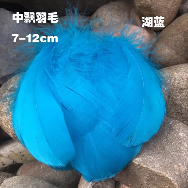 Lông vũ đủ màu kt 7-12cm