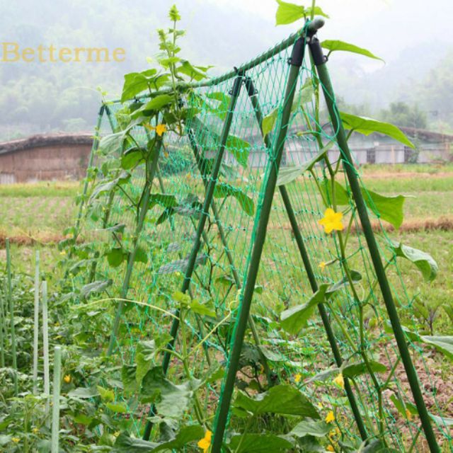 Lưới giăng dàn, dây leo cho rau củ quả