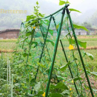 Lưới giăng dàn, dây leo cho rau củ quả