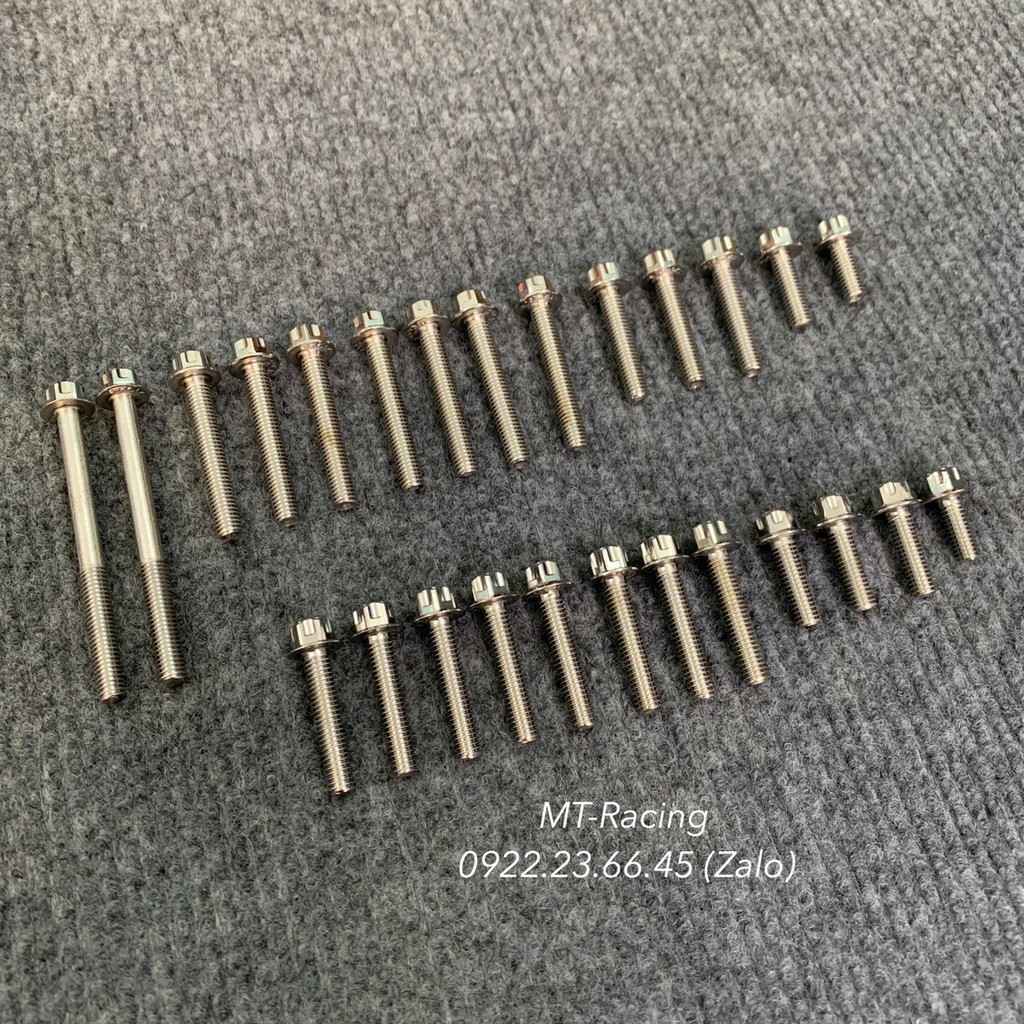 Bộ Ốc Lốc Máy Salaya Inox304 Cho Satria, Raider Fi ( Có Bảo Hành)