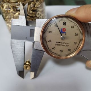2 chiếc vít vặn hình nón bằng đồng M9