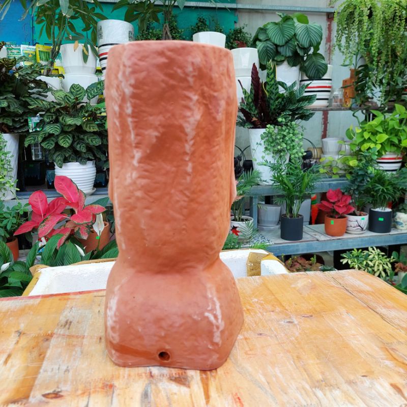 Chậu đất nung, Chậu sen đá, Mr Moil, miệng chậu 13cm, chiều cao 35cm