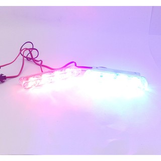 đèn chớp màu xanh đỏ