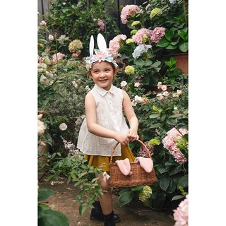 Áo Trắng Cúc Hoa (Petit à Petit)