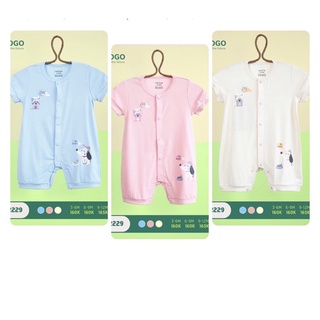 Body cột uala rogo pettit