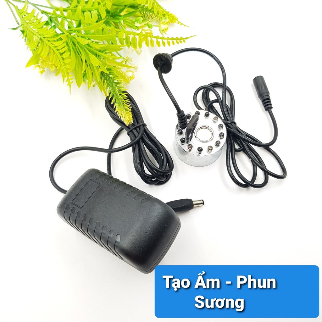 Bộ Tạo Hơi Sương Tạo Ẩm Tiểu Cảnh 12 Led Cả Nguồn, Hơi Nước, Tạo Sương Siêu Âm, Phun Sương