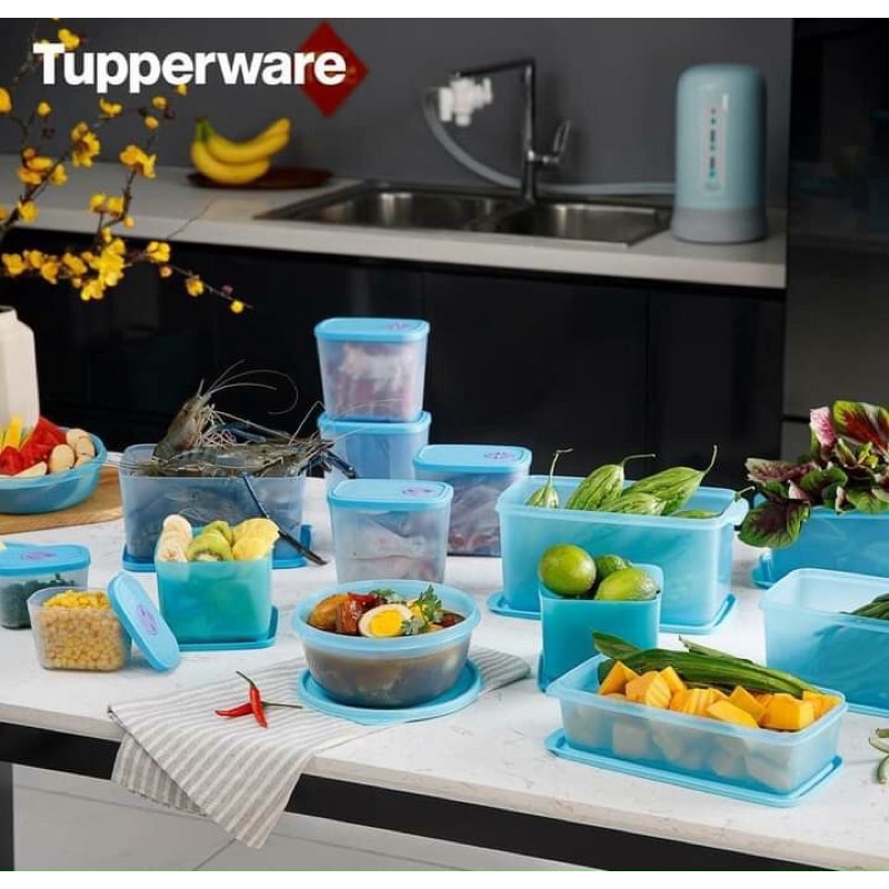 Bộ Đôi Trữ Đông Và trữ Mát 15 hộp Tupperware