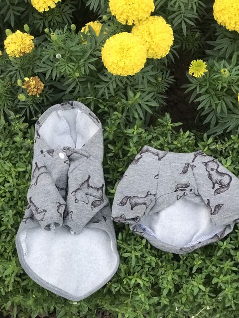 Áo khoác chó mèo nỉ