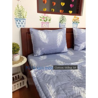 Bộ drap giường Cotton thắng lợi kèm chăn /mền