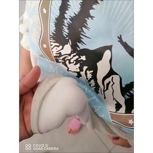 Áo hoody❤️oder 2-3t