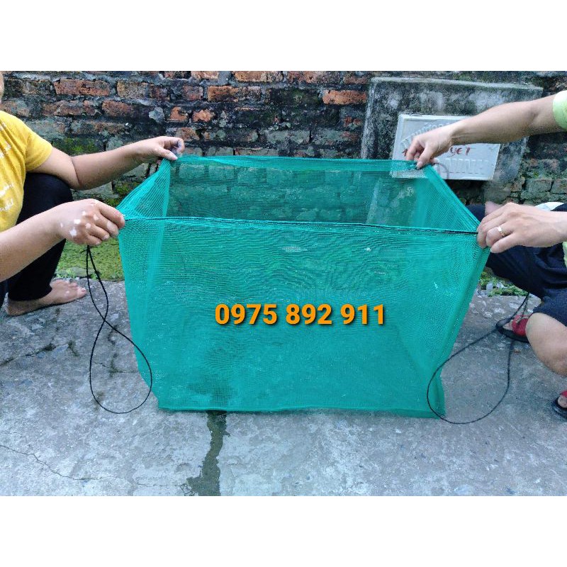 Lồng cá đẻ GUPPY