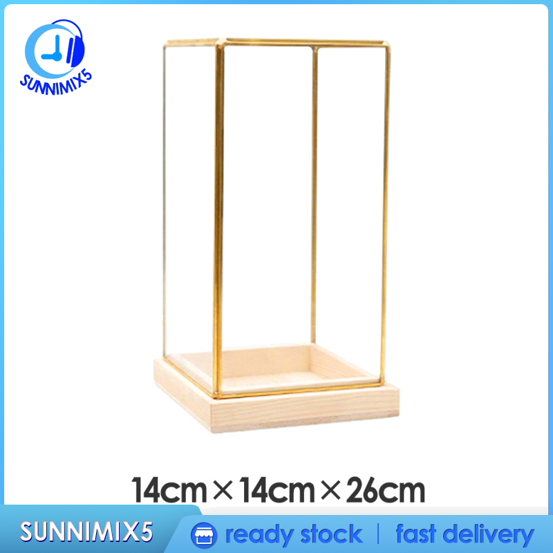 [Trend Technology]Glass Display Case Decorative Cuboid Antique Artwork Showcase Terrarium