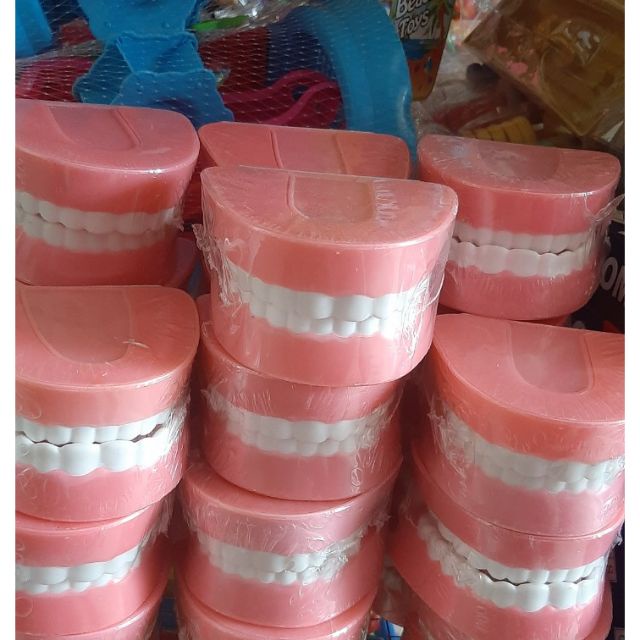 Mô hình hàm răng giả dùng trong giáo dục bé tập đánh răng