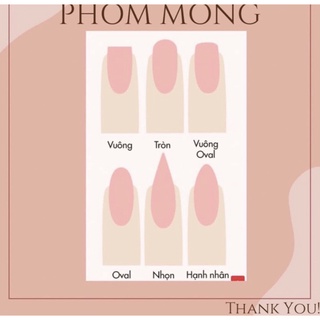 nailbox thiết kế