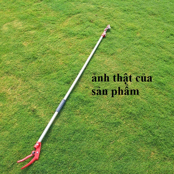 Kéo hái quả cắt cành cao giữ luôn quả không bị rơi