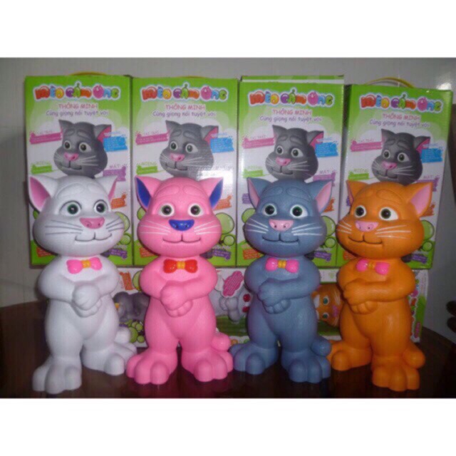 Mèo nói - nhỏ- 1 con