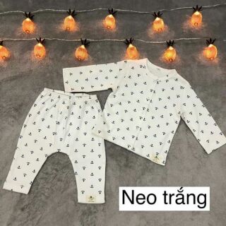 Combo sỉ quần bé gái, bộ sơ sinh