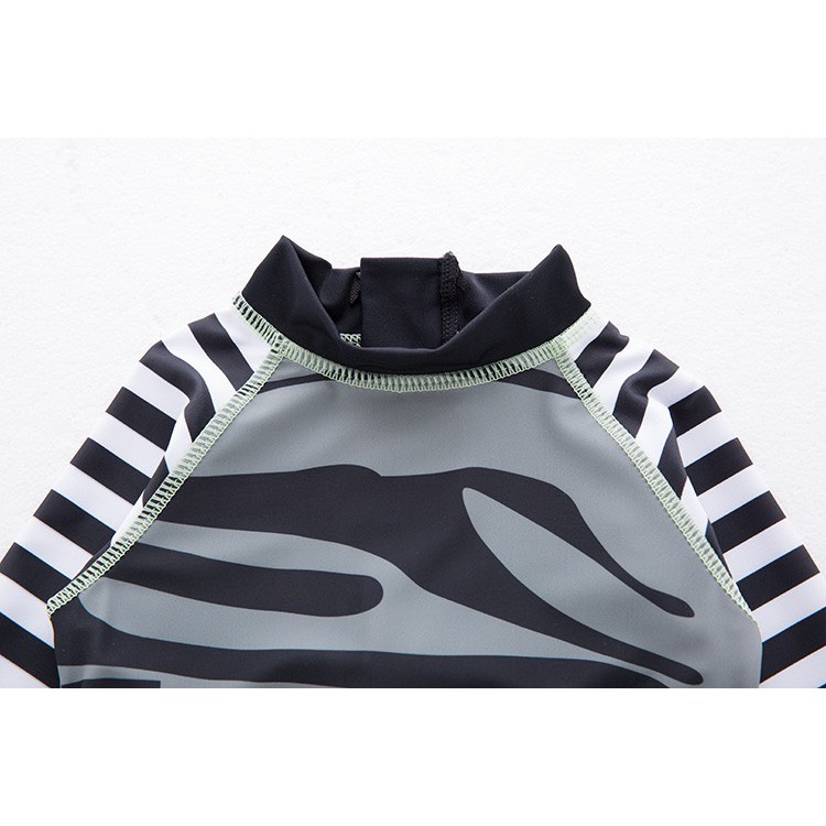 H00120 Bơi ngựa vằn | BigBuy360 - bigbuy360.vn