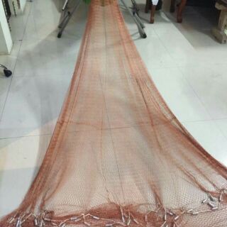Chài dù chuyên bắt cá cao 2m đường kính 4m